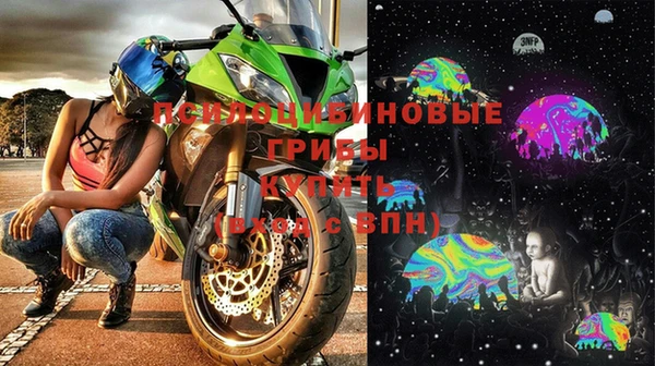 круглые Абаза