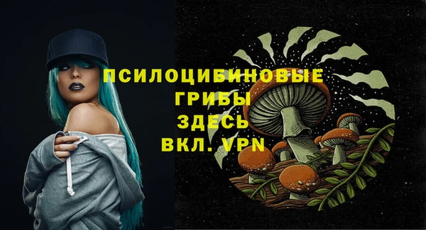 Альфа ПВП Осташков