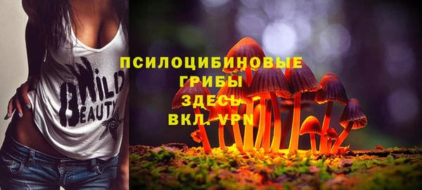 герыч Осинники